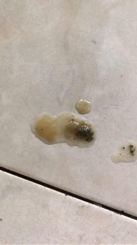 家里狗拉稀不吃东西怎么办啊