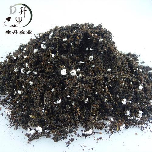 花卉栽培基质有哪些