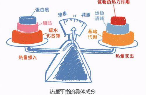 能量 热量 运动