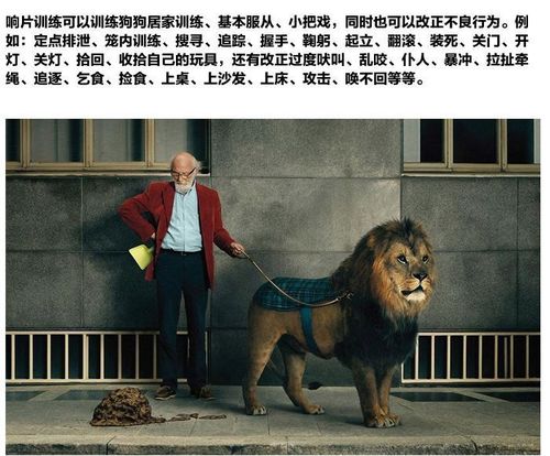 响片训练的优点