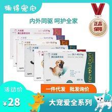 驱完大宠爱不吃东西