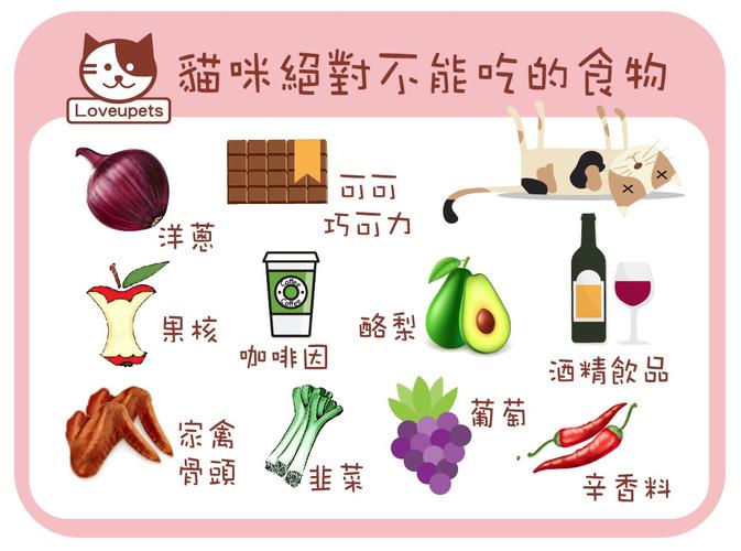 猫咪能吃的东西