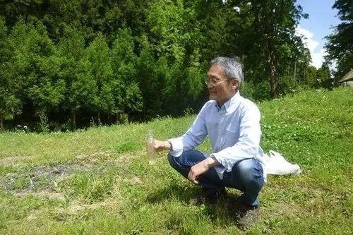 怎么训练 户外拉屎