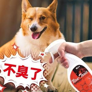 什么东西能去除家里宠物的味道
