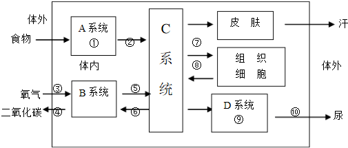 新陈代谢与运动的关系