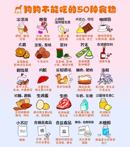 狗狗不能吃的所有东西吗