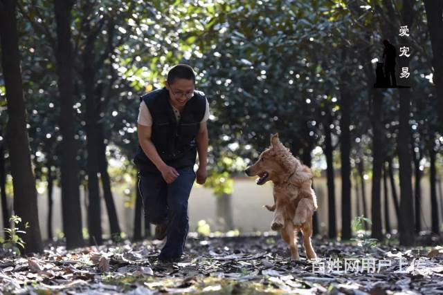 长沙 宠物训练