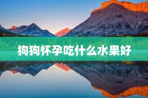 狗怀孕忌吃什么东西