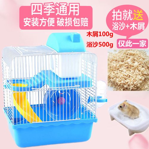怎么训练仓鼠回窝