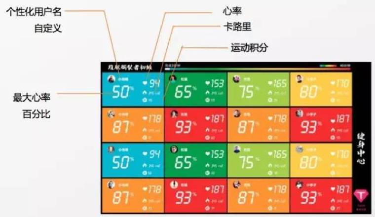 运动心率测试