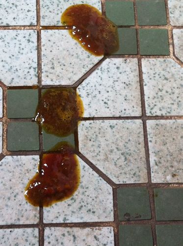 泰迪狗吐白色粘液拉稀不吃东西怎么办