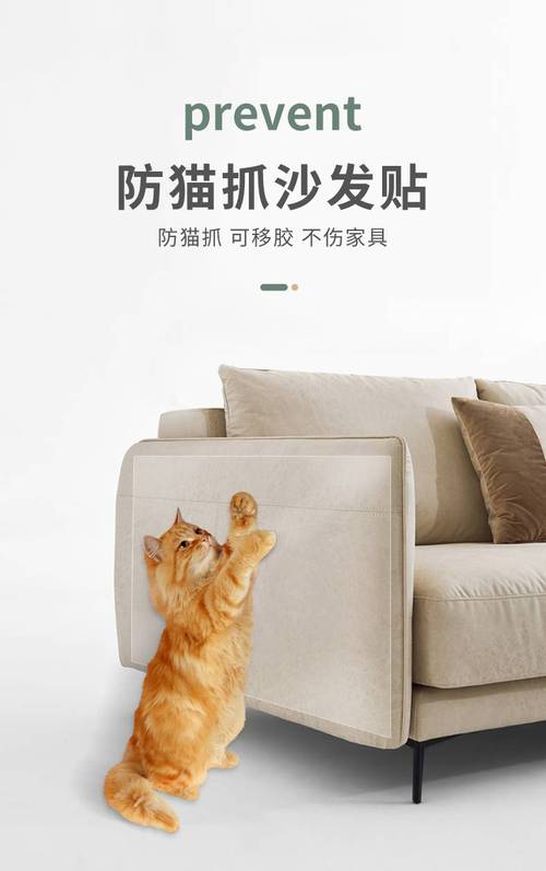 有防猫咬 挠的东西吗