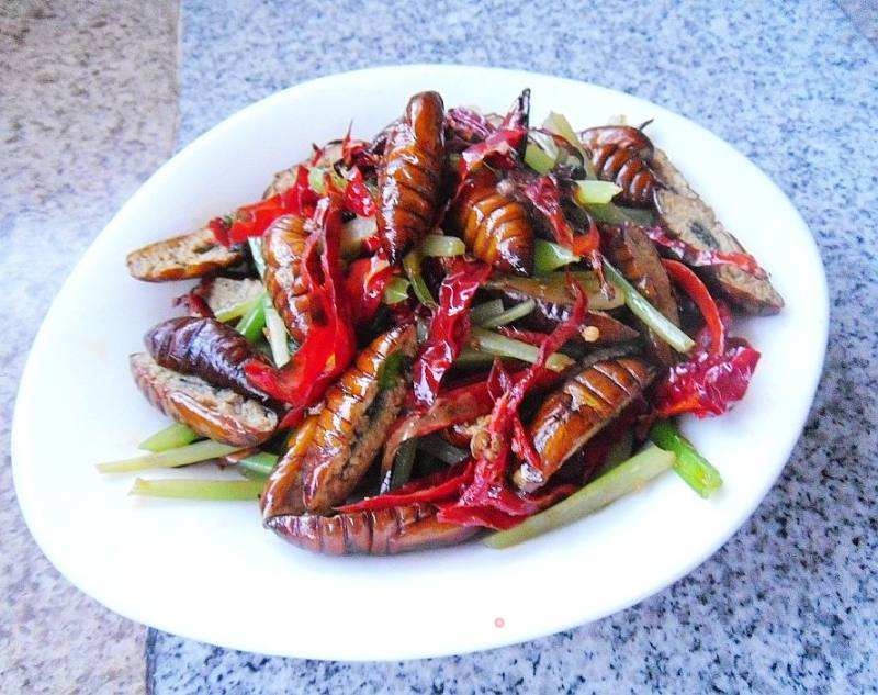 蚕蛹的做法大全