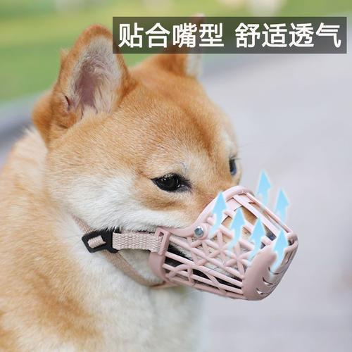 防狗咬东西