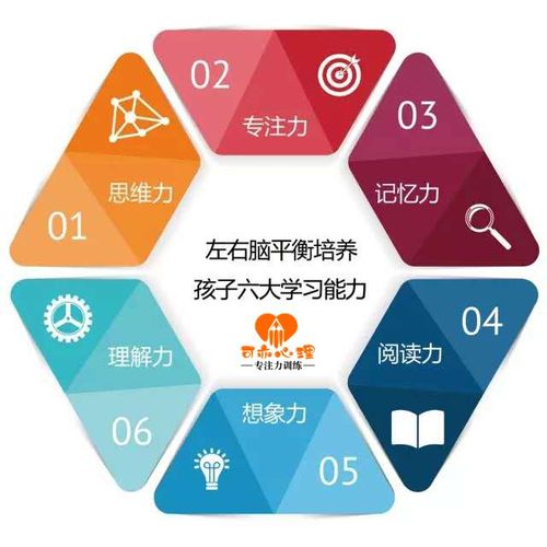 怎么提高孩子的思维能力