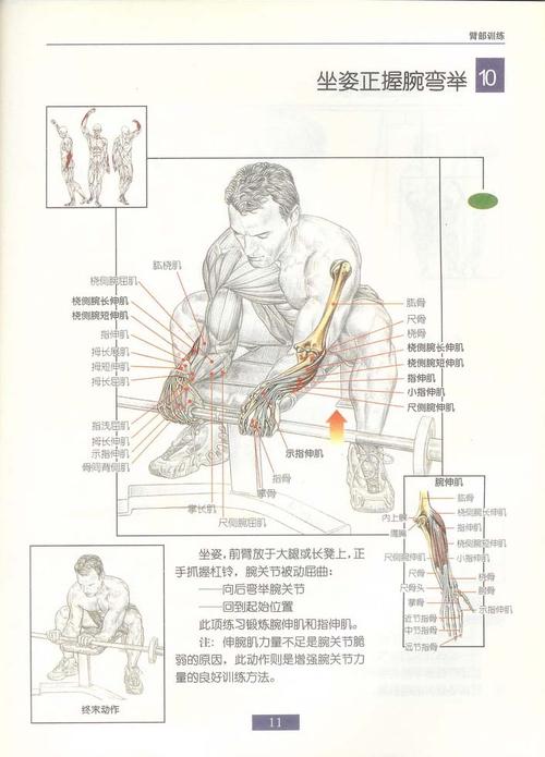 运动型肌肉怎么练什么单手的