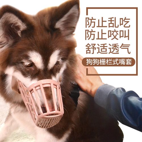 如何阻止狗狗乱撕咬东西