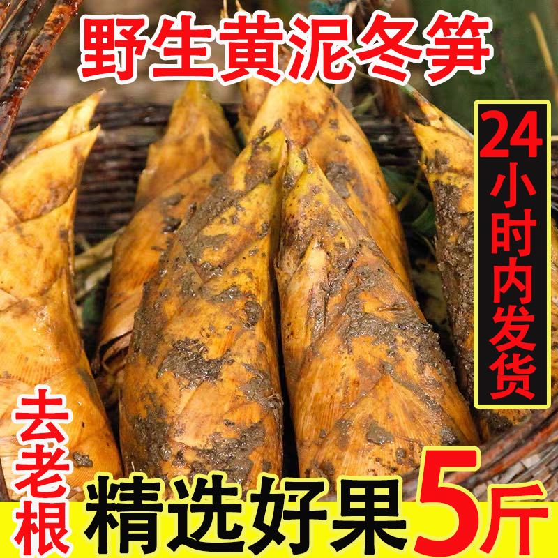 黄泥笋做法