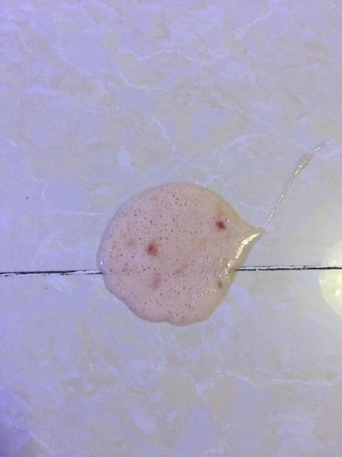 狗狗吃东西吐血怎么办