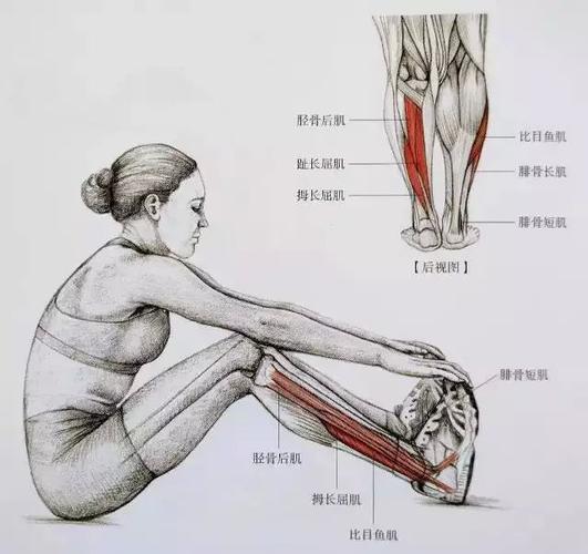 怎么运动瘦小腿最快最有效