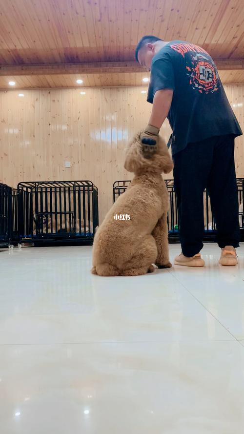 巨贵怎样训练