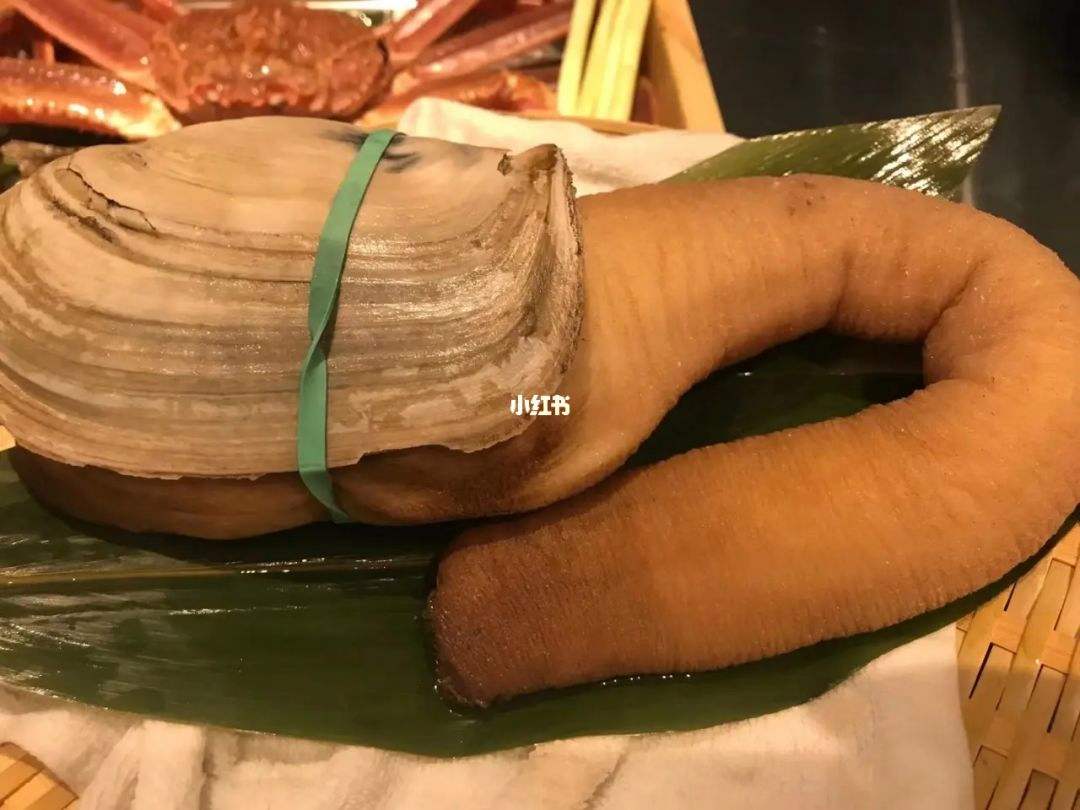 小象鼻蚌的做法