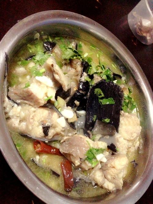 鲶鱼汤的做法大全