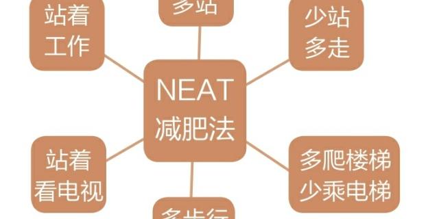 最简单的运动减肥法