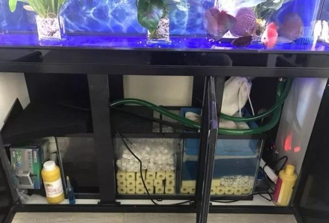 鱼缸清理可以放什么东西吗