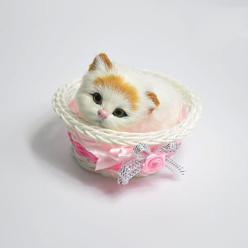 怎么样用东西做猫玩具