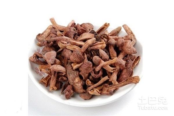 松树蘑菇的做法
