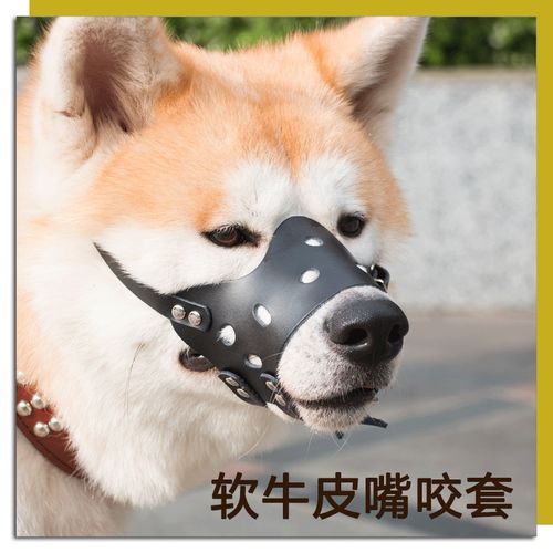 防狗叫的东西