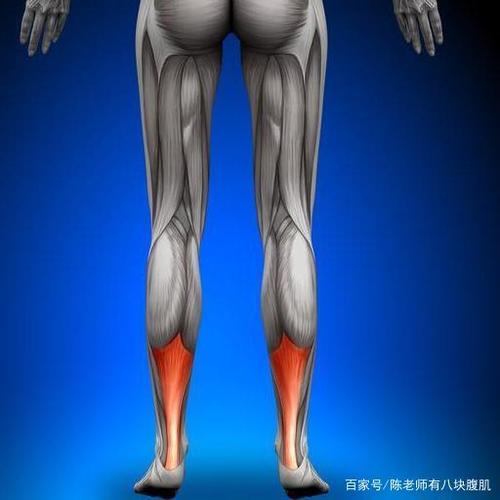 运动后腿肿胀怎么治