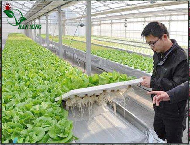 无土栽培基质消毒