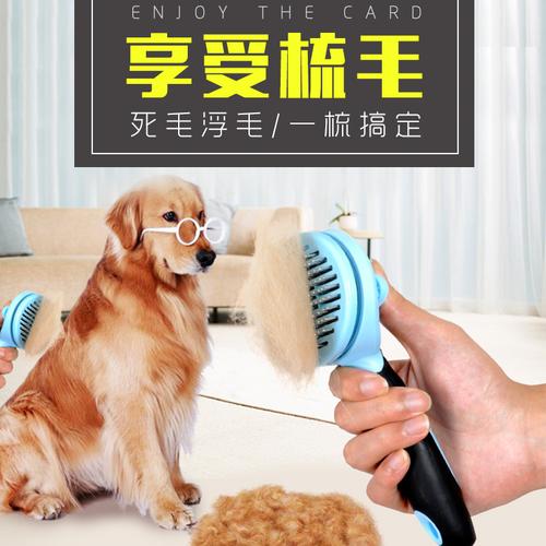 给狗狗刷毛的东西