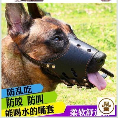 怎么样防止狗乱咬东西