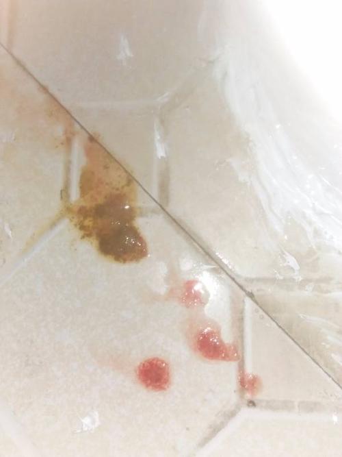 怀孕狗吃坏东西拉稀怎么办