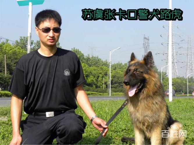 南京犬训练学校