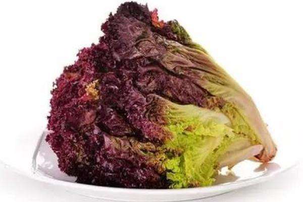紫叶生菜的做法