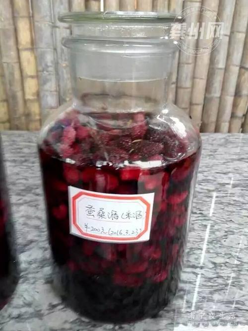 桑葚枸杞酒的做法