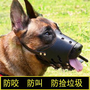 什么东西能防止狗咬