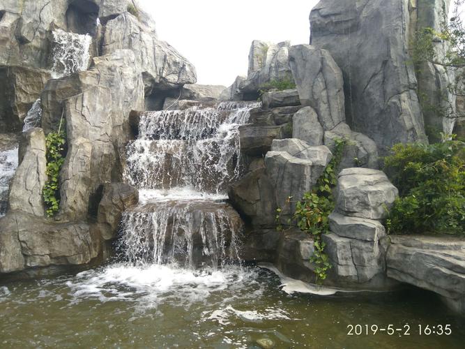 黄果树假山栽培技巧