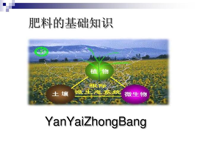 花卉栽培肥料准备ppt