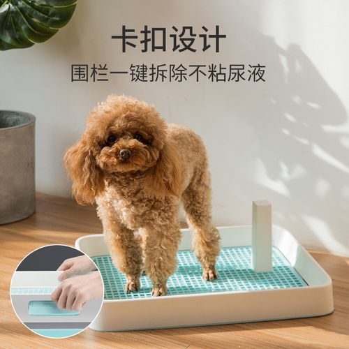 怎么训练狗狗在狗厕所尿尿