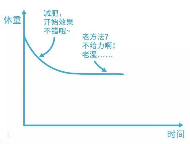 运动减肥 平台期