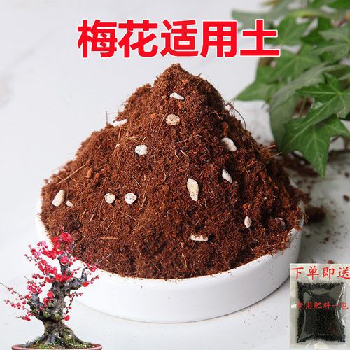 梅花栽培土的配置