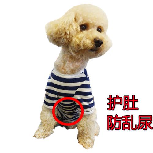 母狗怎么训练小便