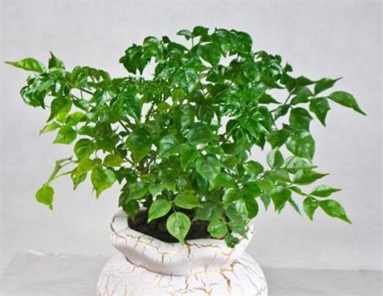 幸福的养殖方法