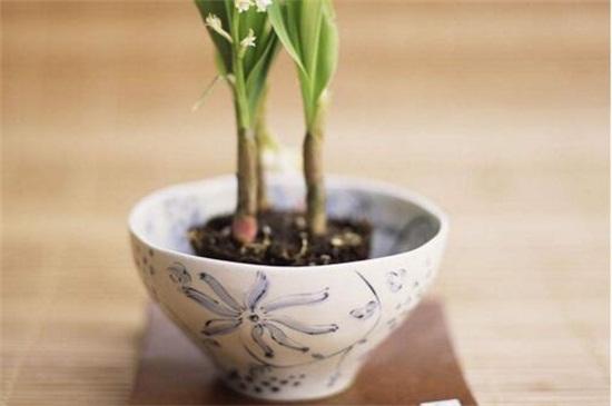 植物施肥注意事项