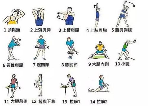 运动后怎么做拉伸运动